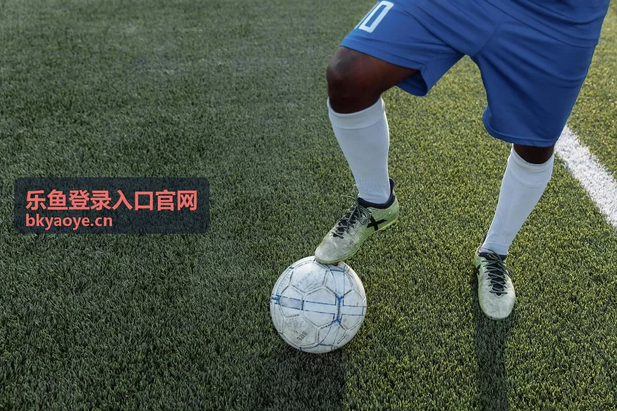 乐鱼登录入口官网会员权益变动说明内容预览